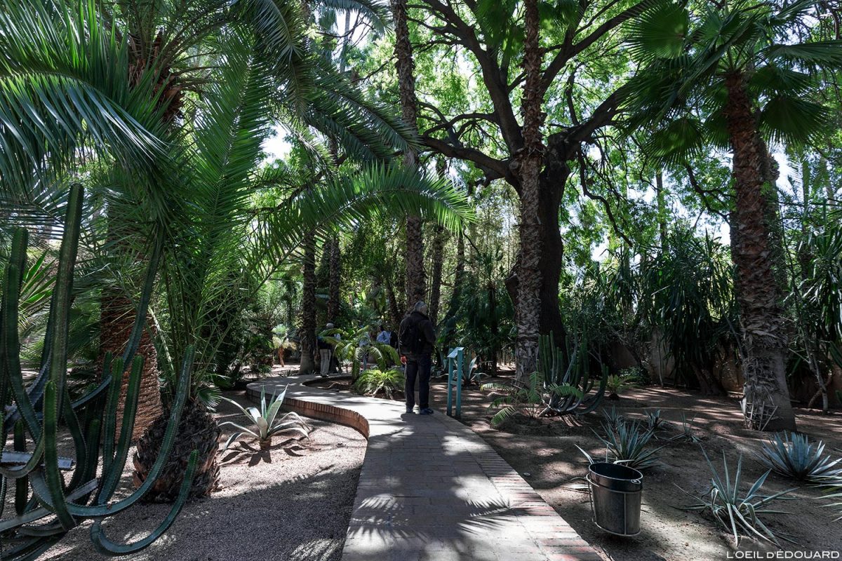 Jardin Majorelle à Marrakech, Maroc / Garden visit Marrakesh Morocco