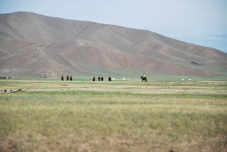 Chevaux dans les steppes de Mongolie Asie Mongolia Asia horses Paysage landscape