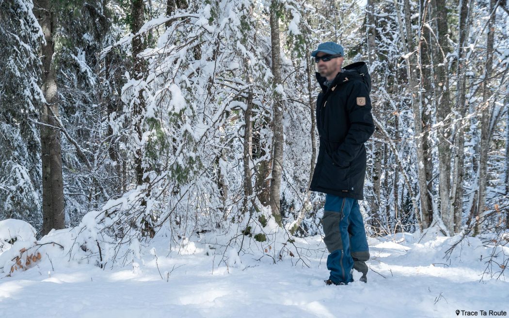 Test Veste Fjällräven Singi Wool Padded Parka Jacket Review Outdoor Winter snow forest