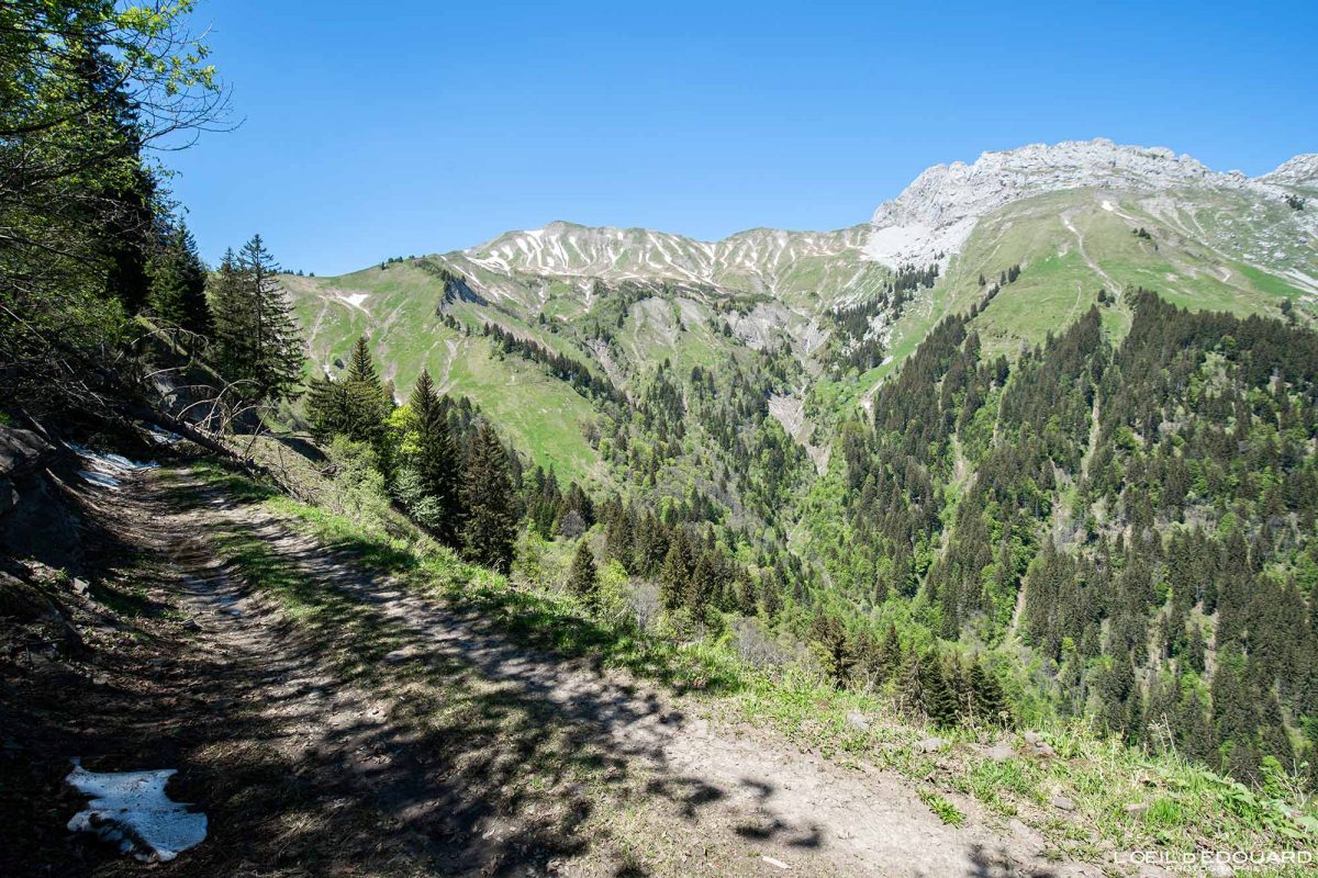 Les Drisons : La Pointe de Chaurionde et la Pointe de la Sambuy - Massif des Bauges Savoie Alpes France Montagne - Mountain road Forest French Alps Outdoor