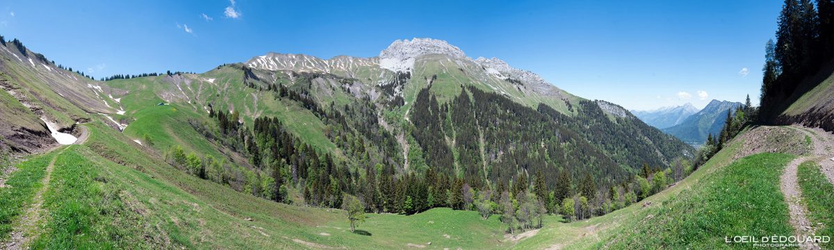 Vallon Les Drisons : La Pointe de Chaurionde et Pointe de la Sambuy - Massif des Bauges Savoie Alpes France Paysage Montagne - Mountain Landscape French Alps Outdoor
