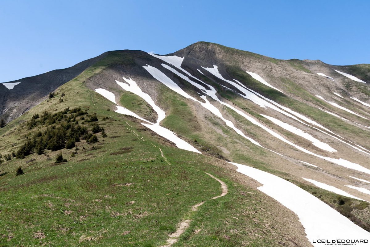 La Pointe de Chaurionde - Randonnée Massif des Bauges Savoie Alpes France Paysage Montagne - Mountain Landscape French Alps Outdoor Hike Hiking