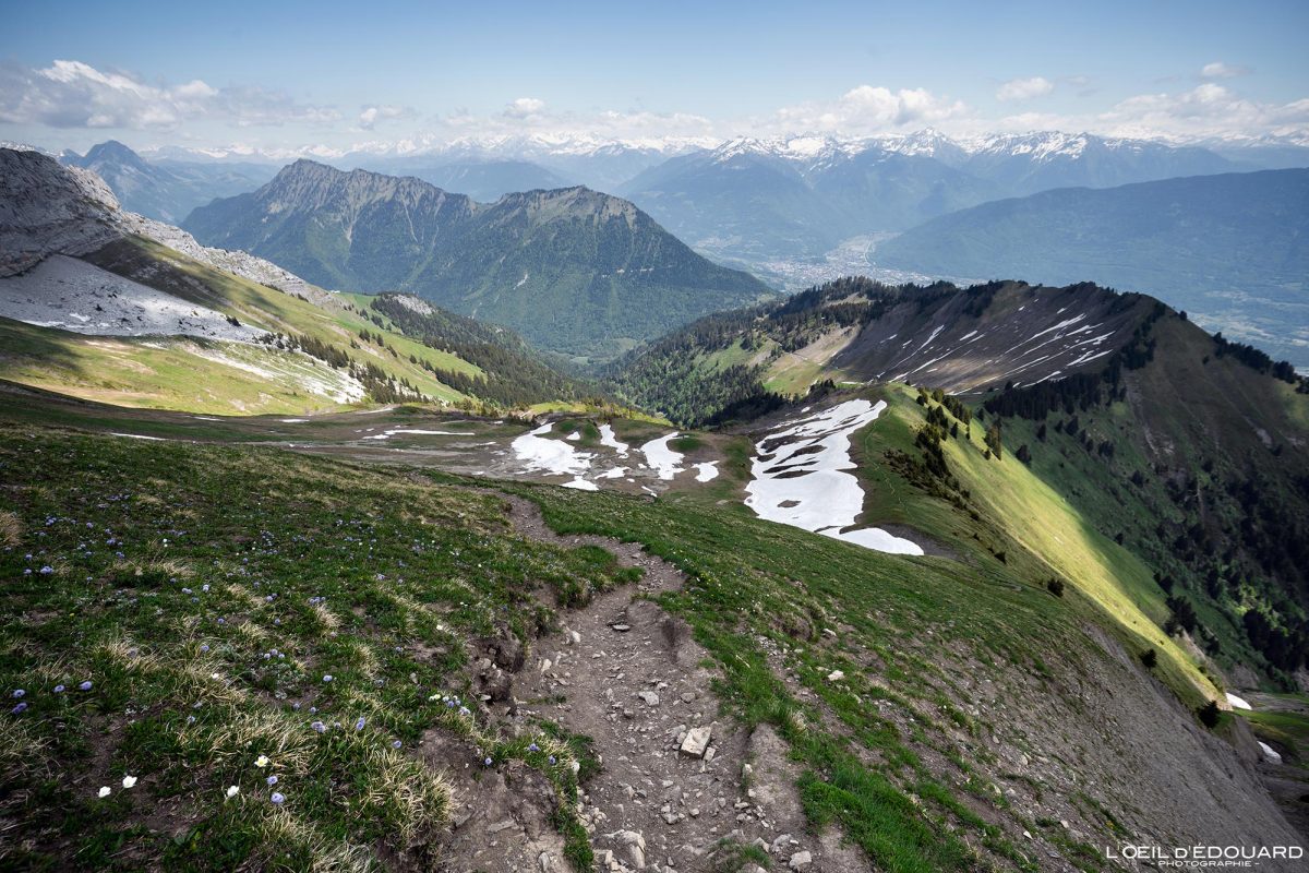 Randonnée La Pointe de Chaurionde - Massif des Bauges Savoie Alpes France Paysage Montagne - Mountain Landscape French Alps Outdoor Hike Hiking