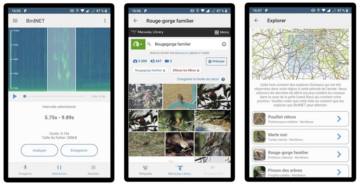 Application Birdnet Smartphone Nom des oiseaux Birds name app