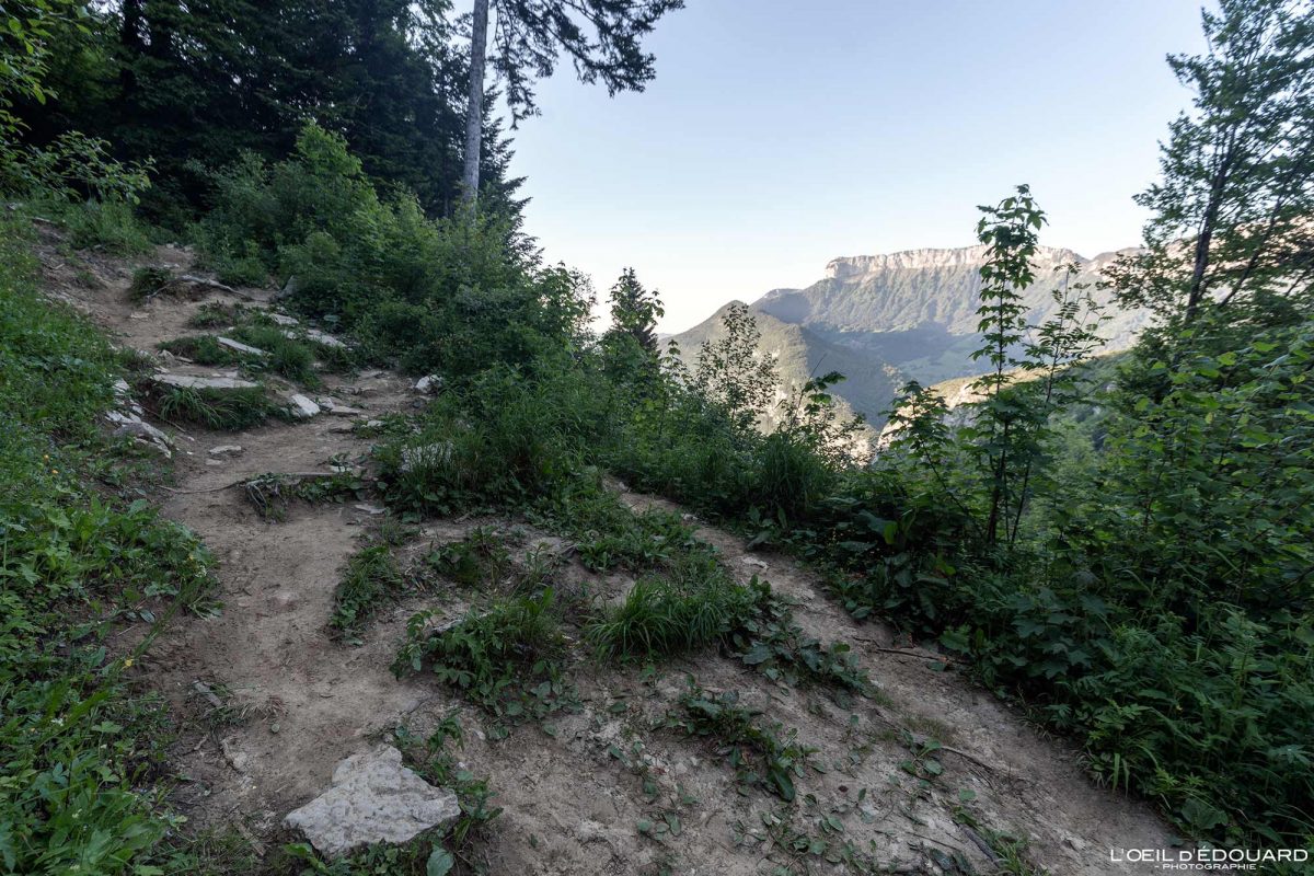 Sentier de randonnée Mont Baron Mont Veyrier Annecy Haute-Savoie Alpes France Montagne - Mountain Landscape French Alps Outdoor Hike Hiking trail