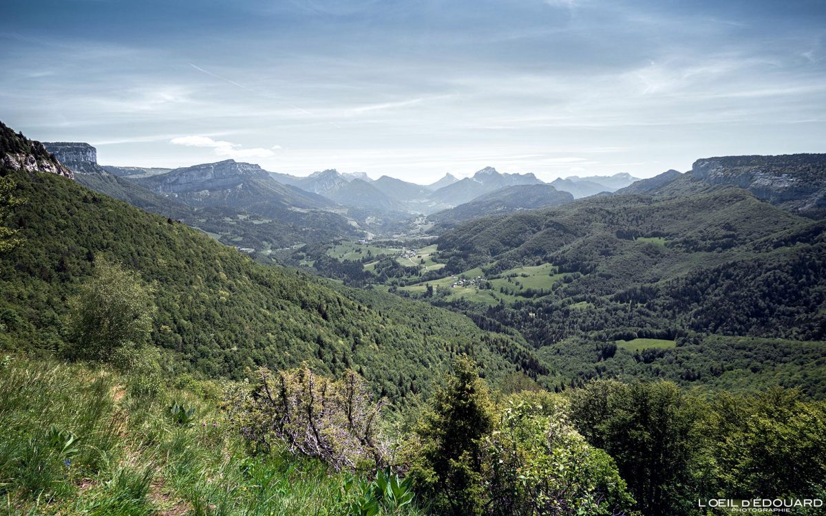 Vue panorama depuis le Mont Joigny - Massif de la Chartreuse Savoie Alpes France Paysage Montagne - Mountain Landscape French Alps Outdoor
