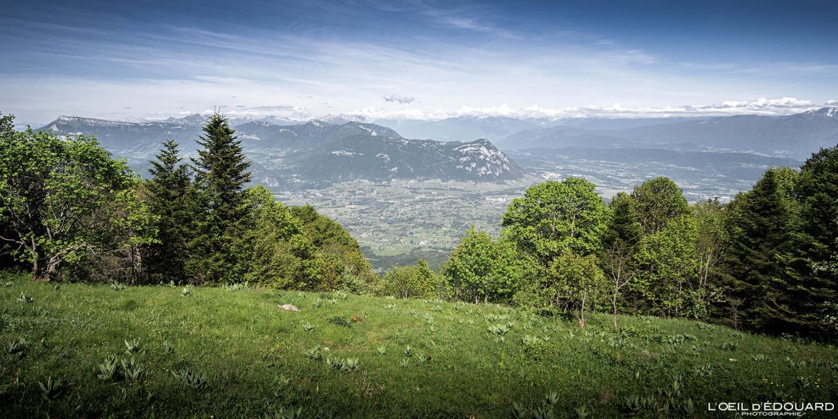 Vue panorama depuis le Mont Joigny - Massif de la Chartreuse Savoie Alpes France Paysage Montagne - Mountain Landscape French Alps Outdoor