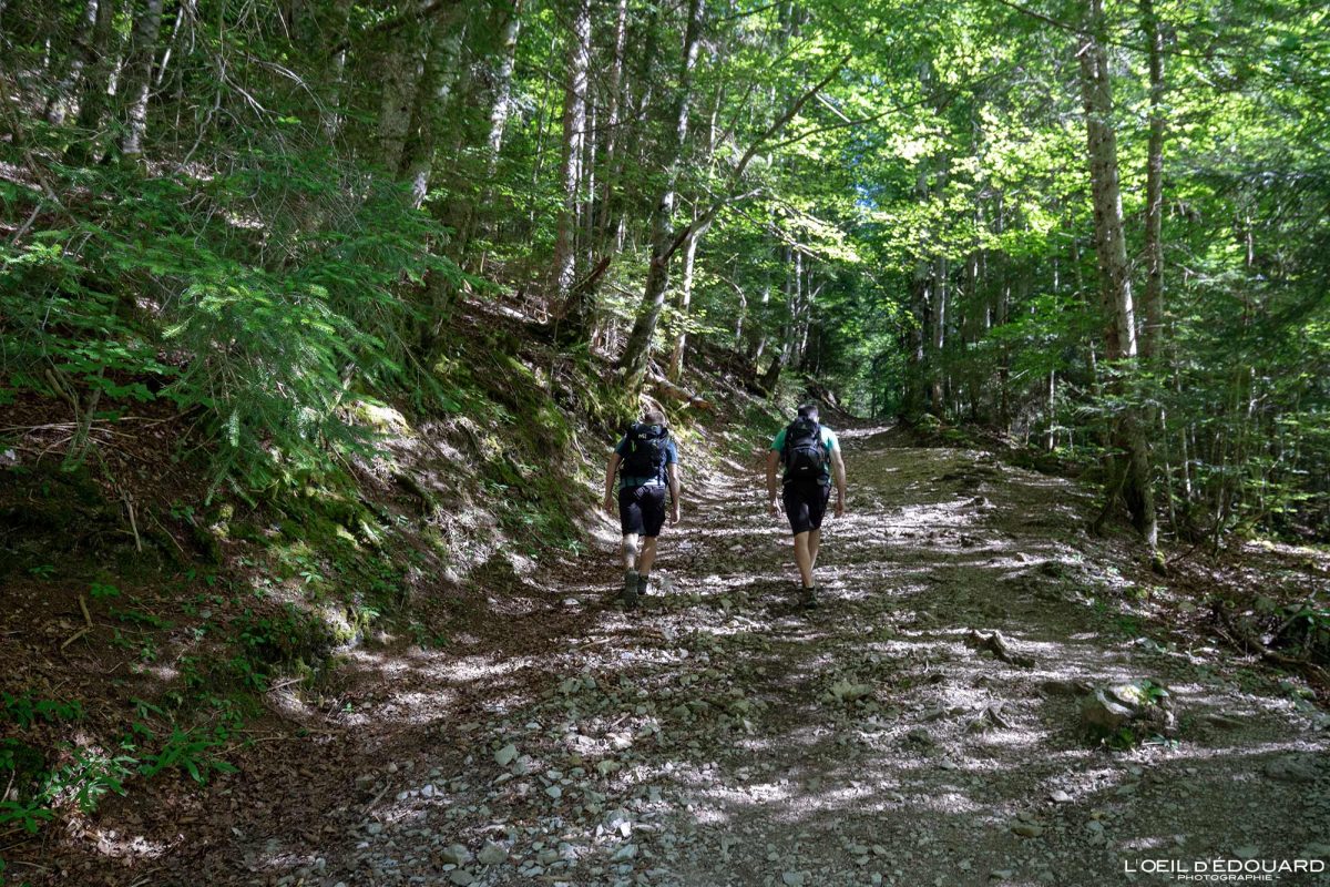 Chemin du Gros Bayard randonnée Col d'Orgeval Massif des Bauges Savoie Alpes France Montagne - Mountain French Alps Outdoor Hike Hiking trail