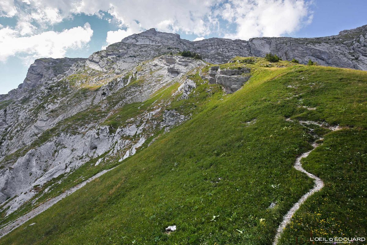 Randonnée Pointe d'Arcalod Massif des Bauges Savoie Alpes France Paysage Montagne - Mountain Landscape French Alps Outdoor Hike Hiking