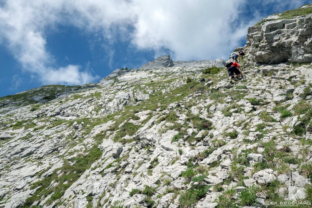 Randonnée Arcalod Massif des Bauges Savoie Alpes France Paysage Montagne - Mountain Landscape French Alps Outdoor Hike Hiking