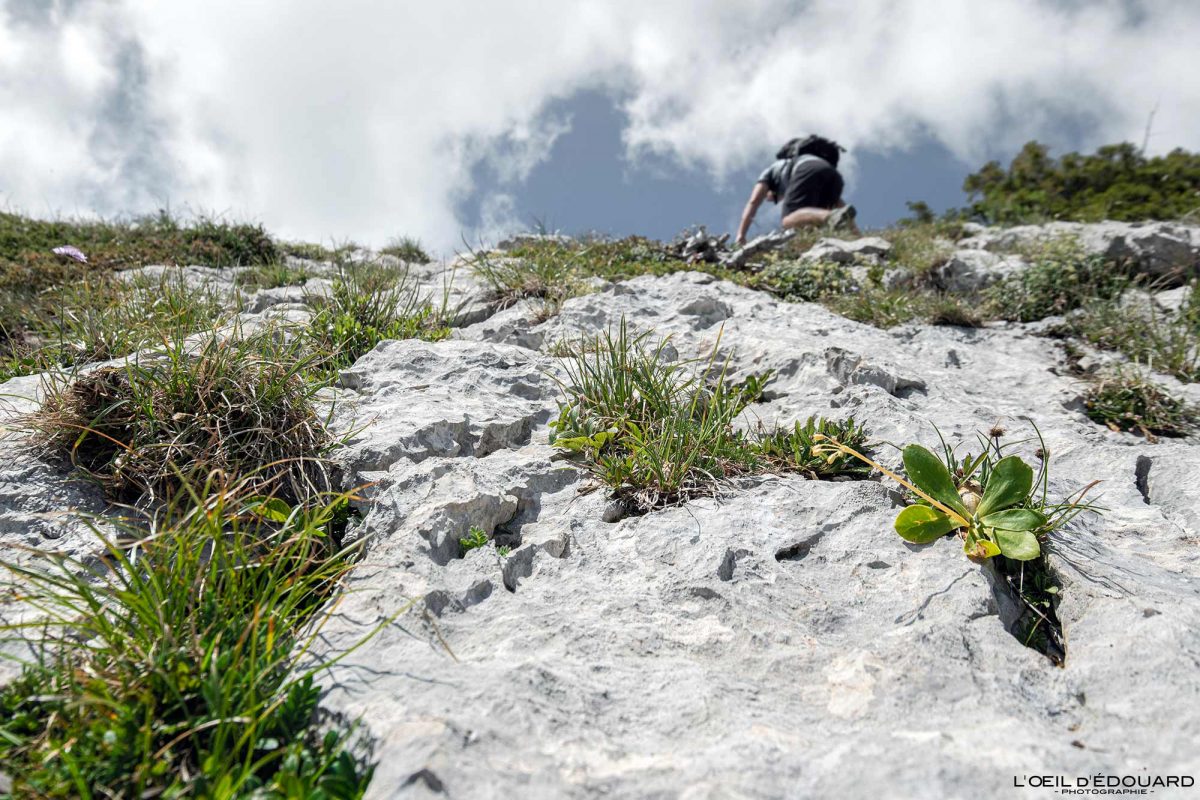 Randonnée Arcalod Massif des Bauges Savoie Alpes France Paysage Montagne - Mountain Landscape French Alps Outdoor Hike Hiking