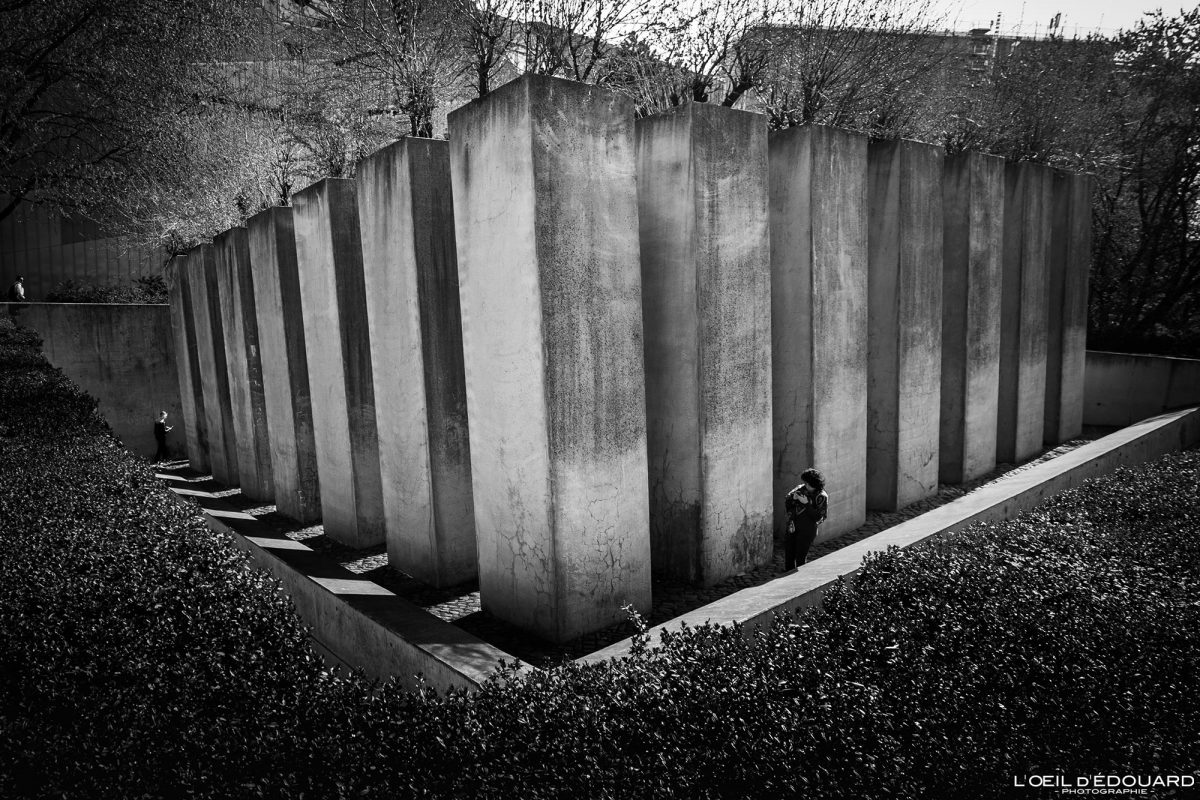 Le Jardin de l'Exil Musée Juif de Berlin Allemagne - Garten des Exiles Jüdisches Museum Deutschland Germany Garden of Exile Jewish Museum Architecture Daniel Libeskind