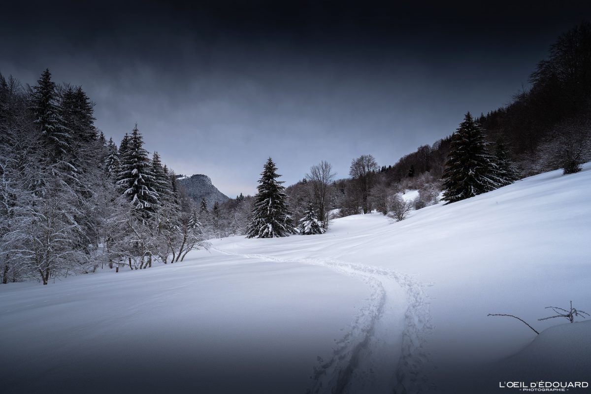 Les Otalets Randonnée Raquettes Le Revard Massif des Bauges Savoie Alpes Paysage Montagne Hiver Neige France Outdoor French Alps Mountain Landscape Winter Snow