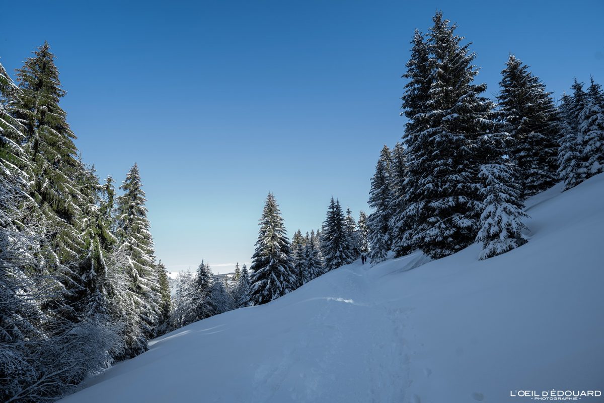 Randonnée Raquettes Le Revard Massif des Bauges Savoie Alpes Paysage Montagne Hiver neige France Outdoor winter snow French Alps Mountain Landscape