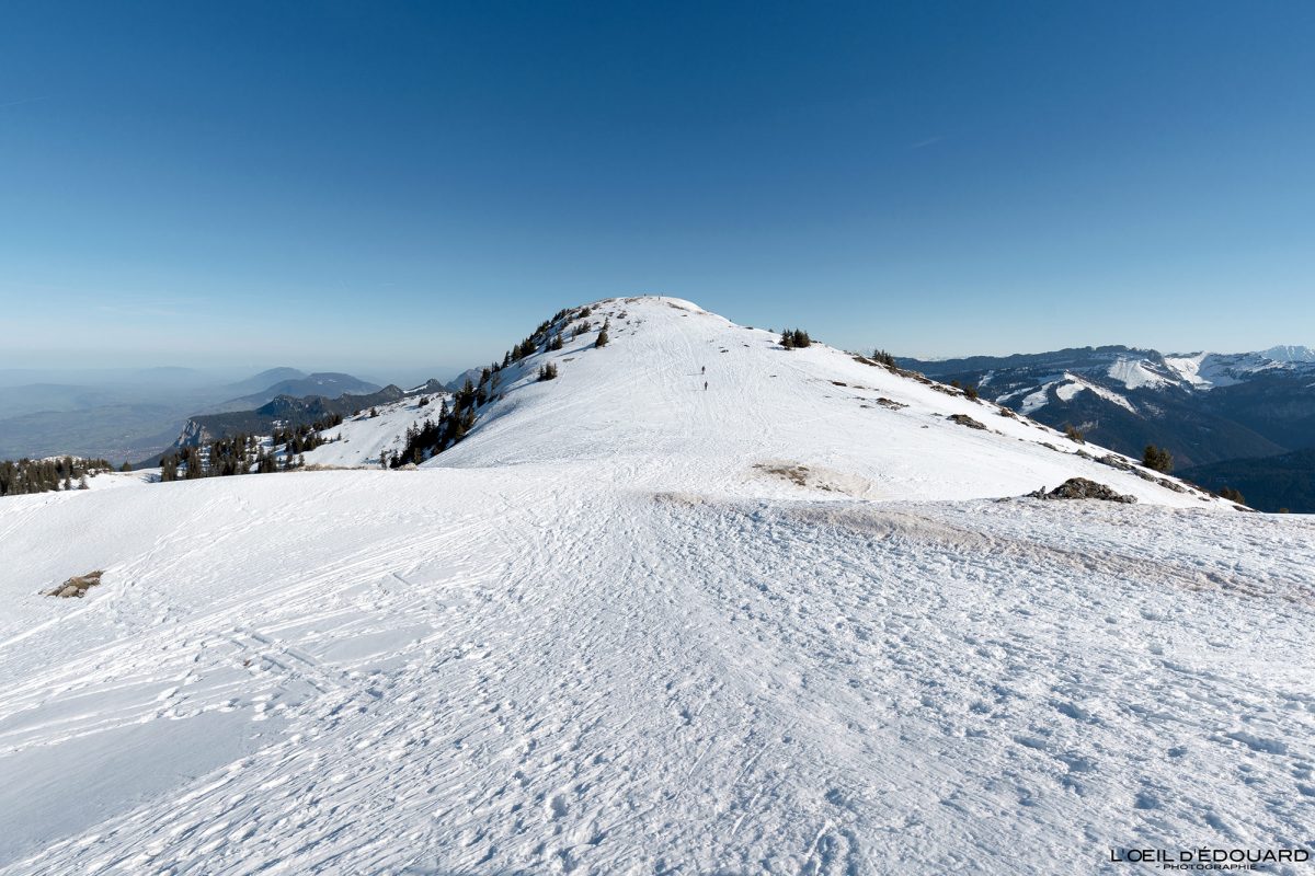 Ski de randonnée Sommet du Charmant Som en hiver Massif de la Chartreuse Isère Alpes Paysage Montagne Neige France Outdoor French Alps Mountain Landscape Winter Snow Skiing Ski Touring