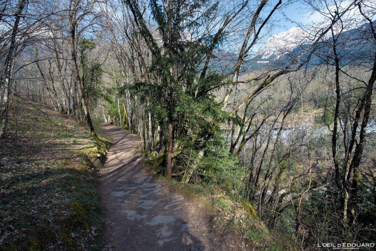 Randonnée Vérel Lac d'Annecy Haute-Savoie Alpes Montagne Paysage France Outdoor French Alps Mountain Landscape Hike Hiking Trail