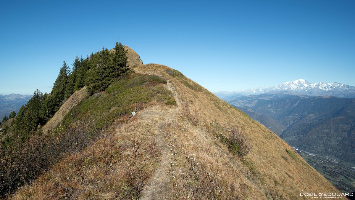 Crête Dent de Cons Massif des Bauges Savoie Alpes France Sentier Randonnée Montagne Paysage Nature Outdoor French Alps Mountain Landscape Hike Hiking Trail