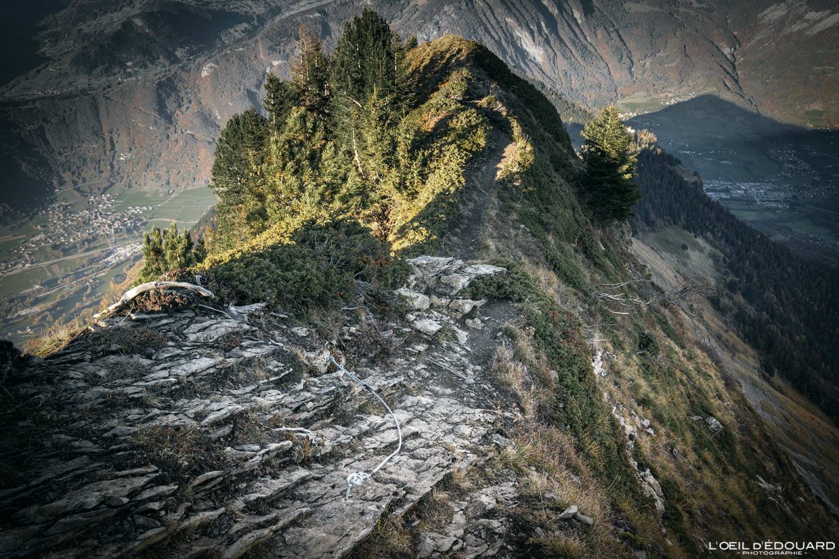 Sentier Randonnée Rocher Prani Crête Dent de Cons Massif des Bauges Savoie Alpes France Montagne Paysage Nature Outdoor French Alps Mountain Landscape Hike Hiking Trail