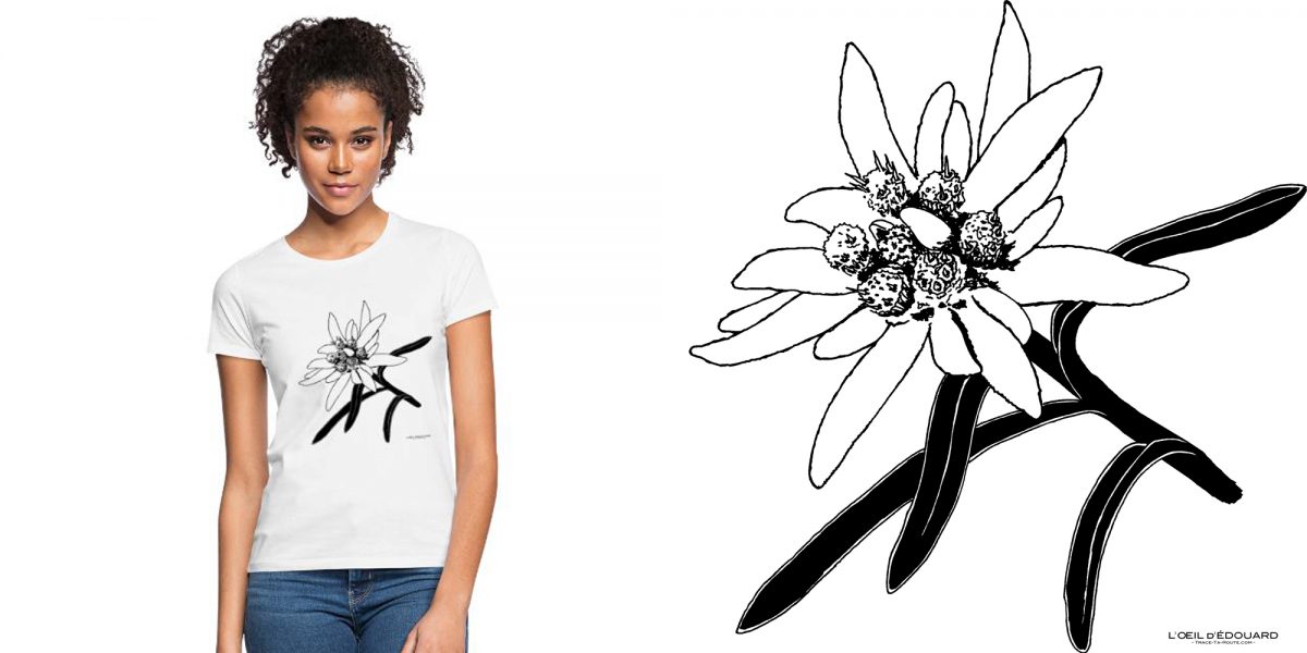 T-Shirt Dessin Edelweiss (Fleur de Montagne Alpes) Nature Outdoor Wear French Alps Mountain Flower / Sketchbook Drawing : L'Oeil d'Édouard ©