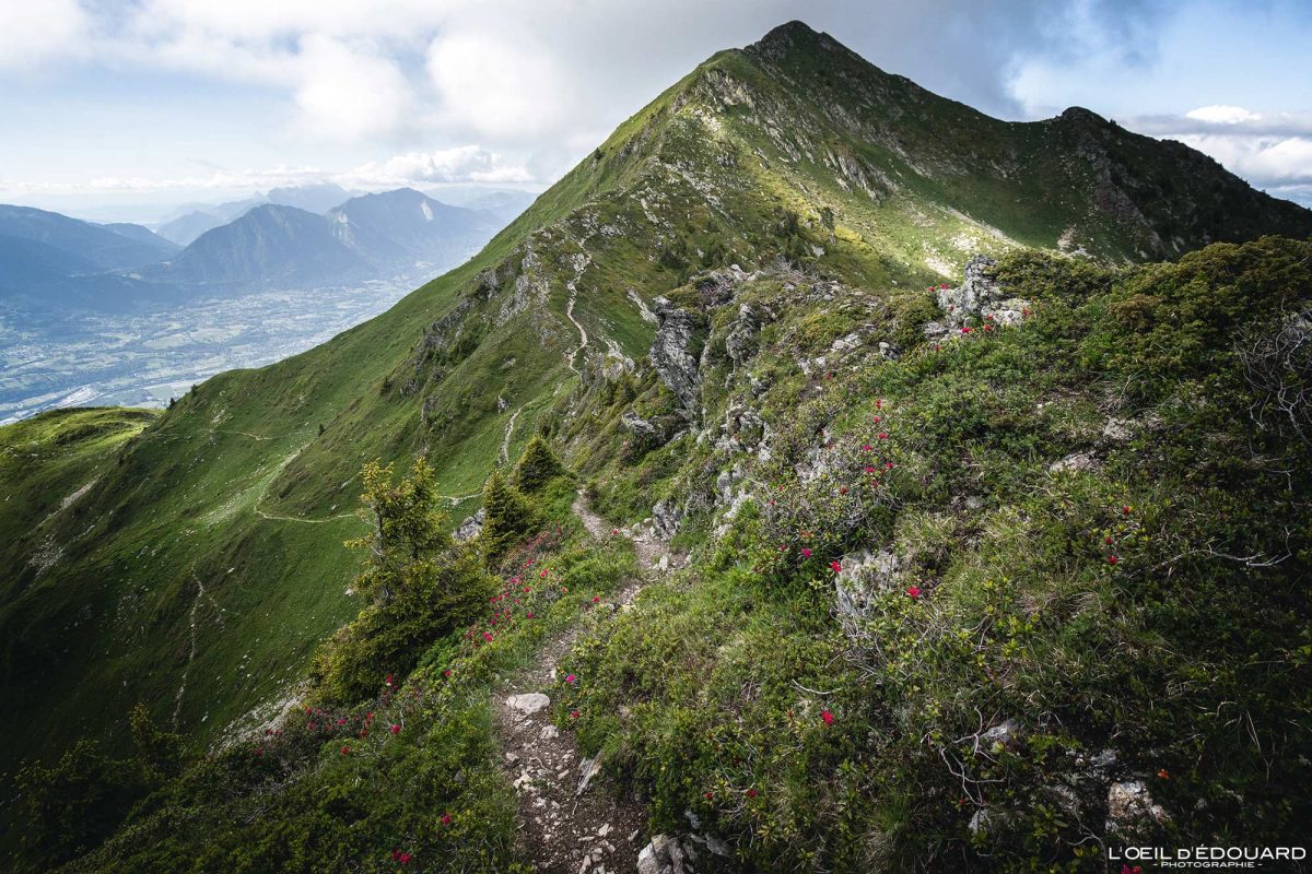 Crête Dent du Corbeau Chaîne du Grand Arc Savoie Alpes France Sentier Randonnée Montagne Paysage Nature Outdoor French Alps Mountain Landscape Hike Hiking Trail