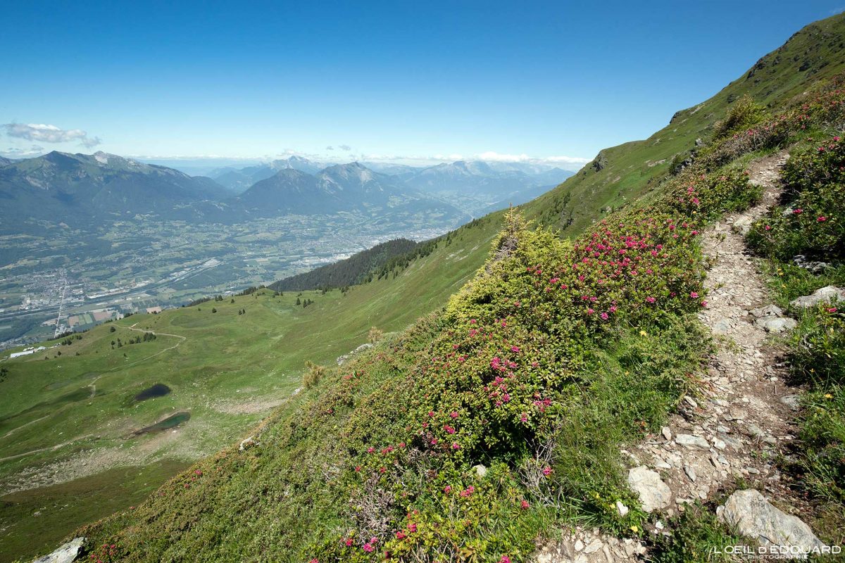 Le Grand Arc Savoie Alpes France Randonnée Montagne Paysage Nature Outdoor French Alps Mountain Landscape Hike Hiking Trail