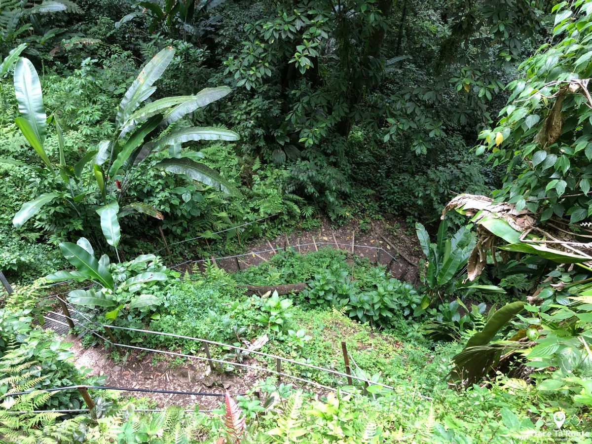 Randonnée Gorges de la Falaise Ajoupa Bouillon Martinique Forêt Nature Outdoor Forest Hiking Trail