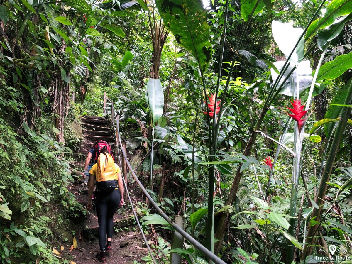 Randonnée Gorges de la Falaise Ajoupa Bouillon Martinique Forêt Nature Outdoor Forest Hiking Trail