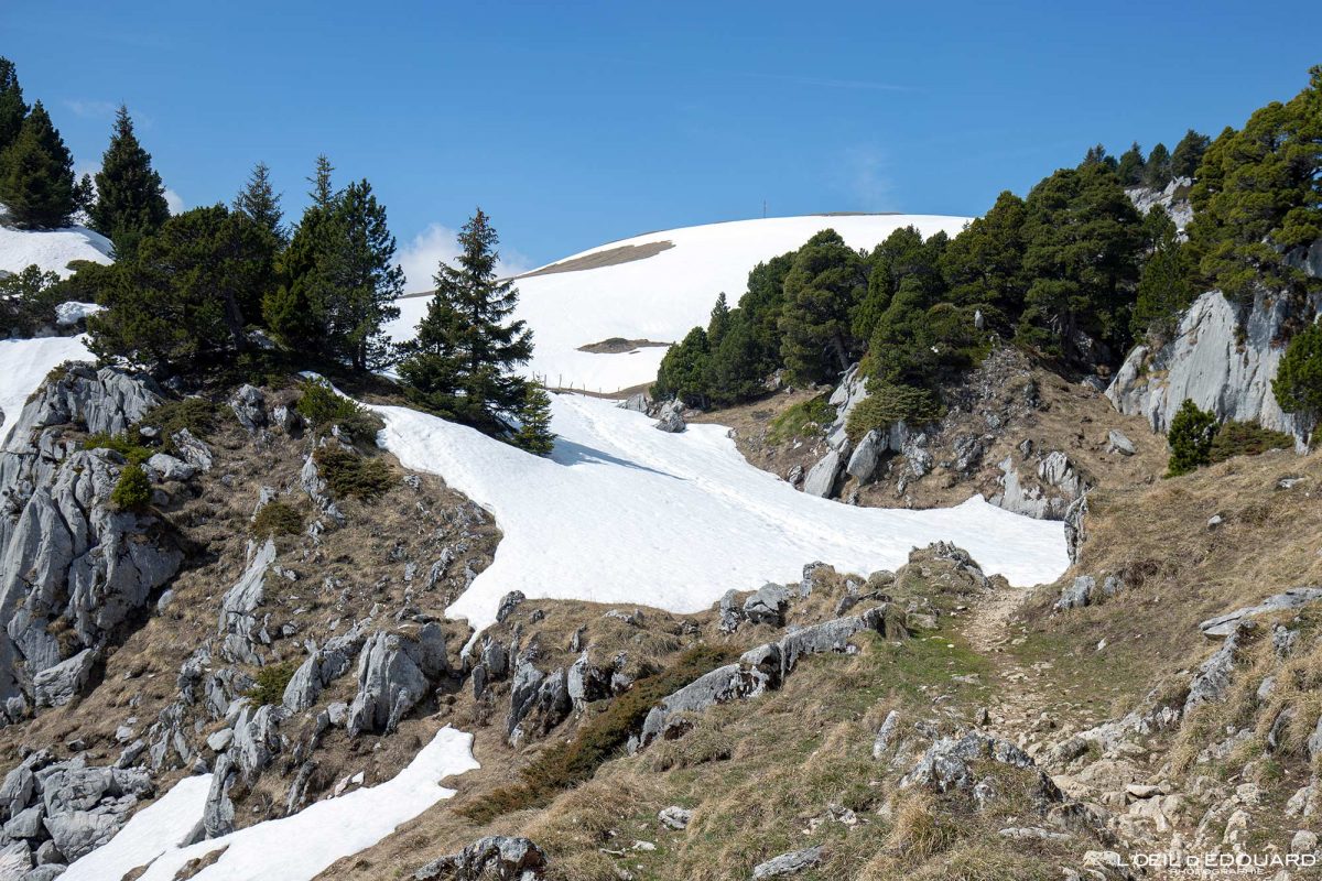 Col de l'Alpe Massif de la Chartreuse Isère Alpes France Paysage Montagne Randonnée Outdoor French Alps Mountain Landscape Hike Hiking