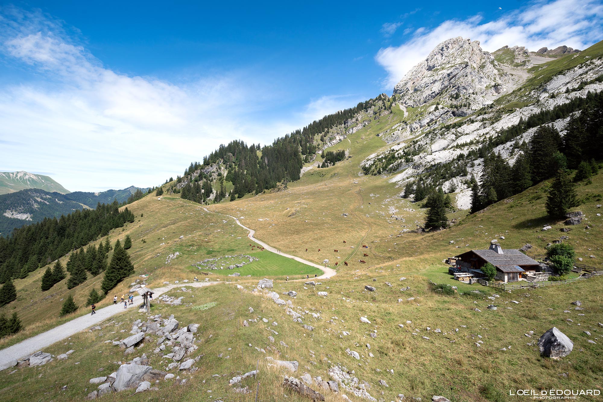 Arpettaz Les Confins Chalet de la Lanchette Combe des Aravis Haute-Savoie Alpes France Randonnée Montagne Paysage Nature Outdoor French Alps Mountain Landscape Hike Hiking