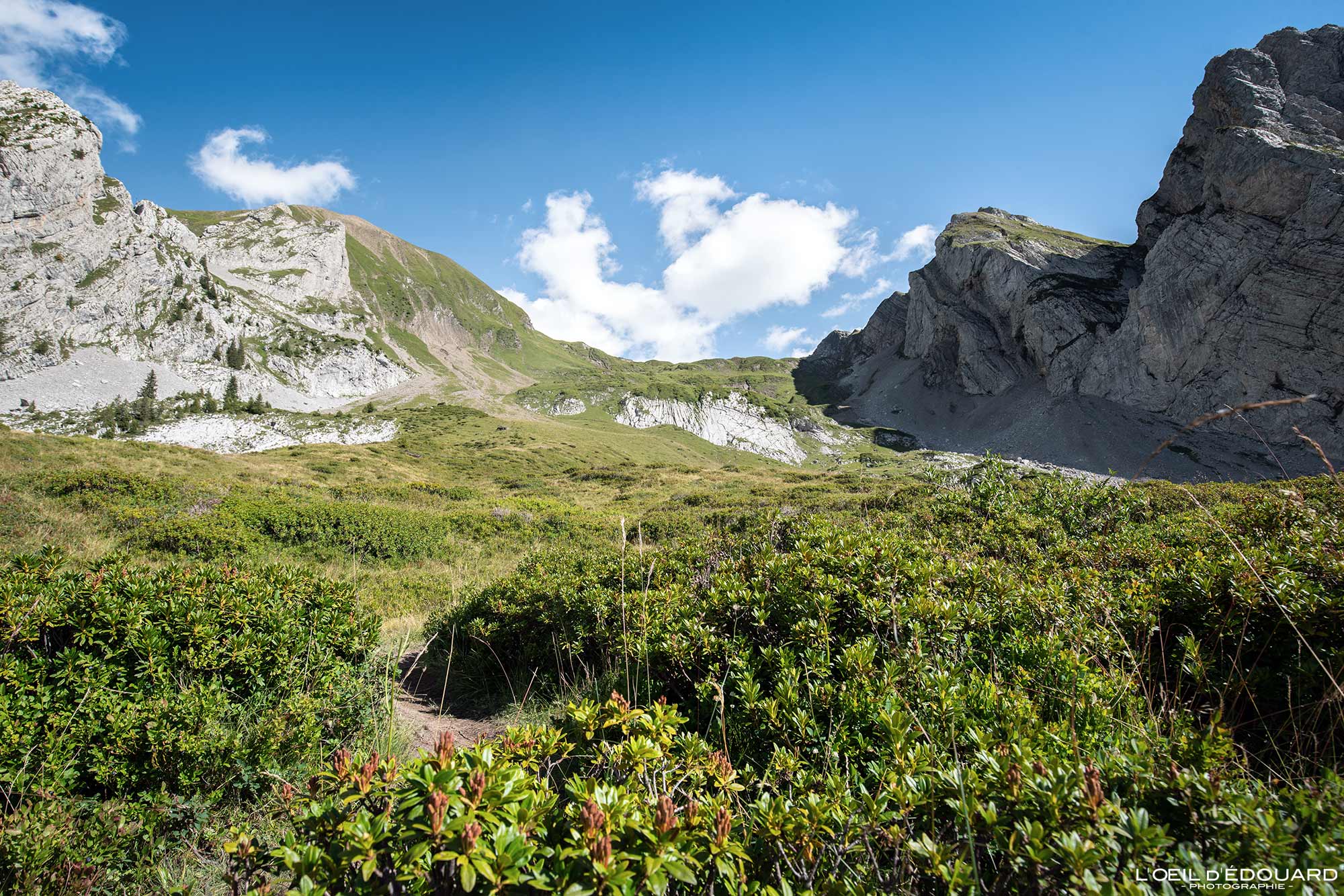 Combe de Tardevant Chaîne des Aravis Haute-Savoie Alpes France Randonnée Montagne Paysage Nature Outdoor French Alps Mountain Landscape Hike Hiking Trail