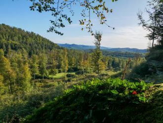 randonnée dans les Vosges du nord