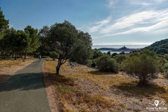 Cyclisme Étang de Bages-Sigean Vélo de Route autour de Narbonne Aude Occitanie France Paysage - Cyclism Outdoor Landscape road bike