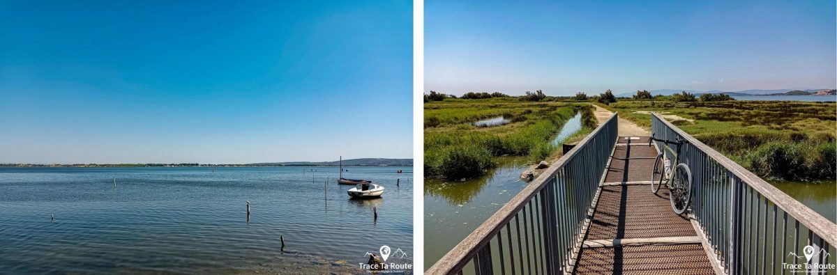 Cyclisme Étang de Bages Vélo de Route autour de Narbonne Aude Occitanie France Paysage - Cyclism Outdoor Landscape road bike Gravel
