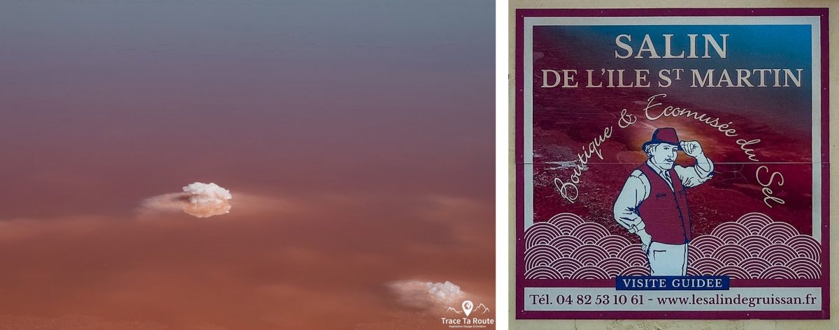 Salin de l'île Saint-Martin Étang de Bages-Sigean autour de Narbonne Aude Occitanie France Paysage - Outdoor Landscape