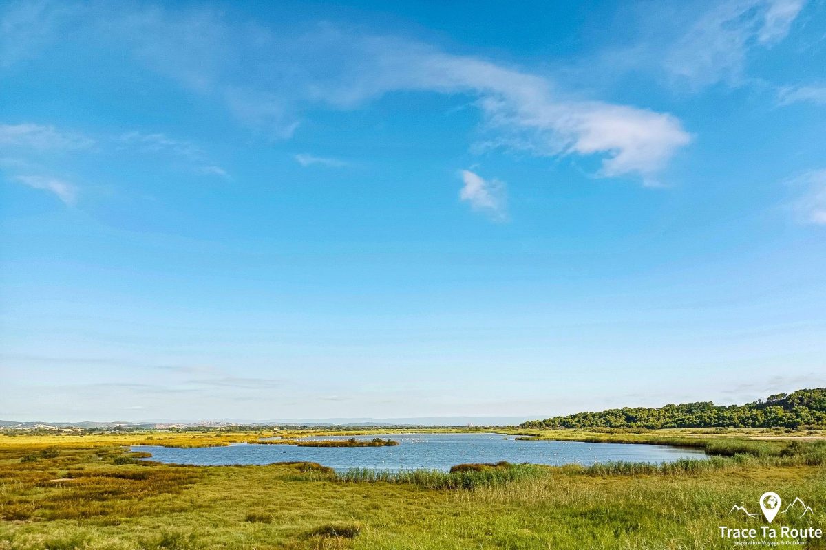 Cyclisme Étang de Bages-Sigean Vélo de Route autour de Narbonne Aude Occitanie France Paysage - Cyclism Outdoor Landscape road bike