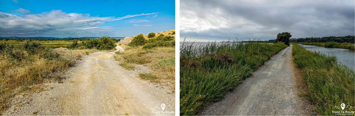 Cyclisme Étang de Bages-Sigean Vélo de Route autour de Narbonne Aude Occitanie France Paysage - Cyclism Outdoor Landscape road bike