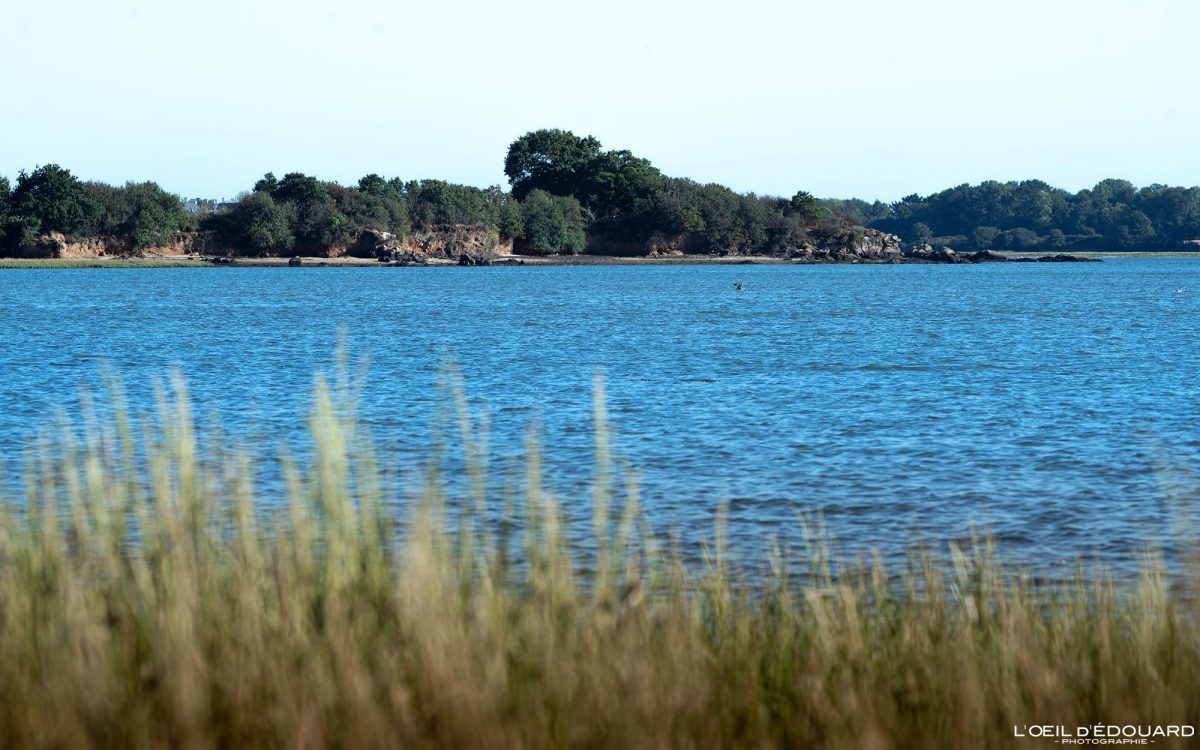 Pointe de Rosvellec Vannes Morbihan Bretagne Visit France Tourisme Vacances - Holidays Travel French Brittany Landscape