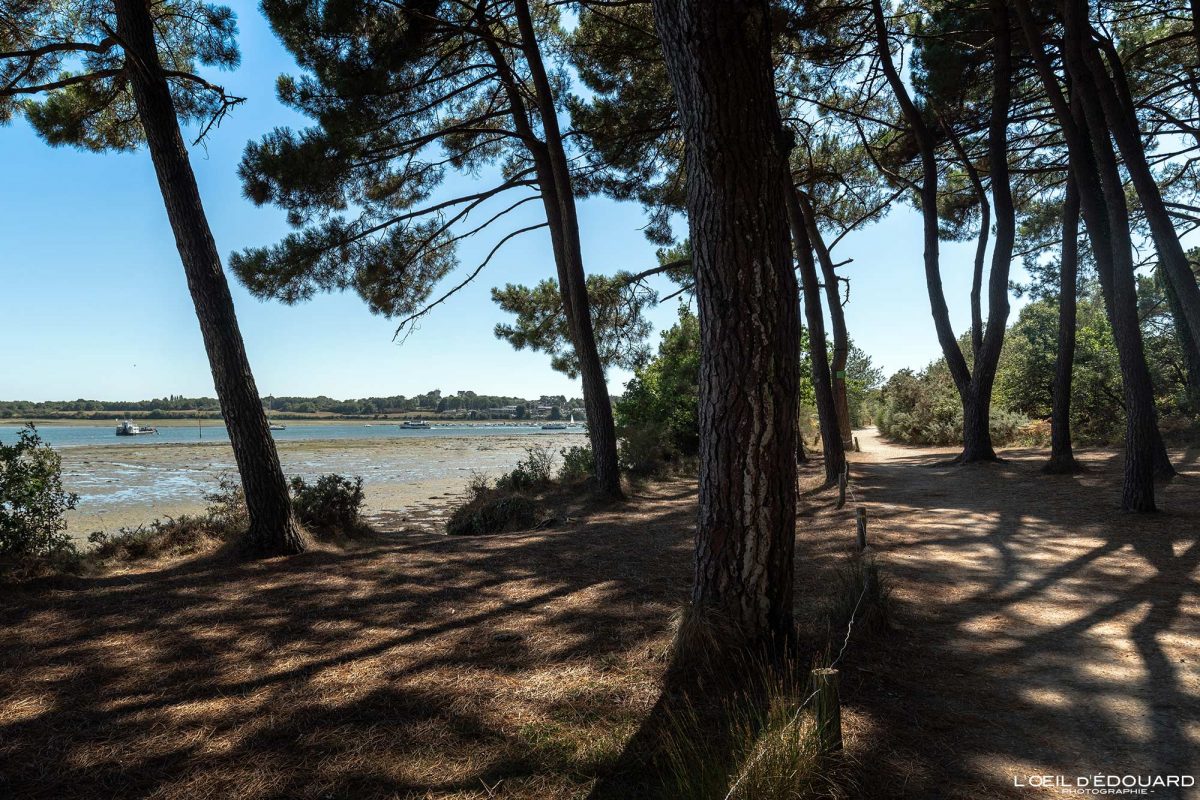 Promenade Paul Chapel Vannes Morbihan Bretagne Visit France Tourisme Vacances - Holidays Travel French Brittany Landscape