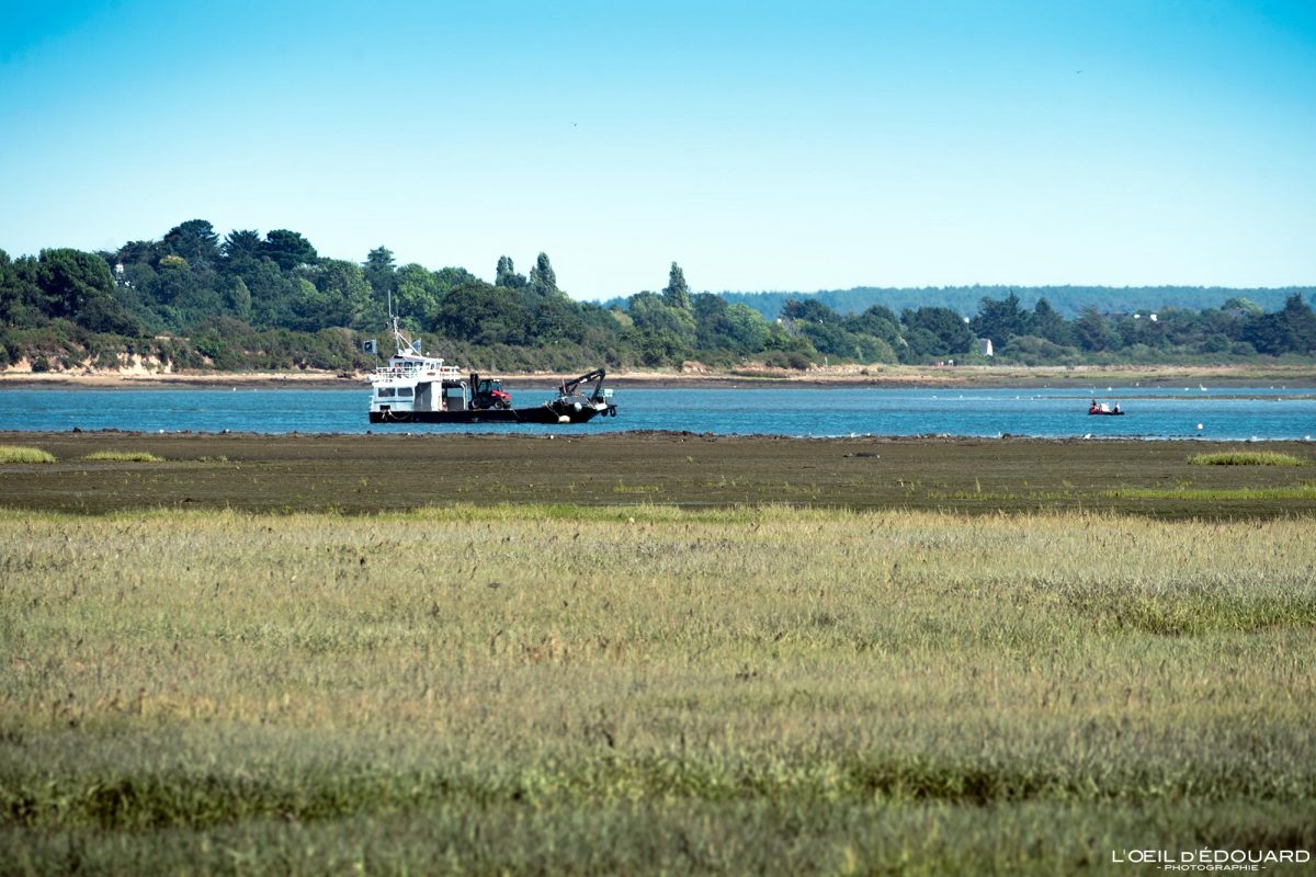 Bateau Vannes Golfe du Morbihan Bretagne Visit France Tourisme Vacances - Holidays Travel French Brittany Boat