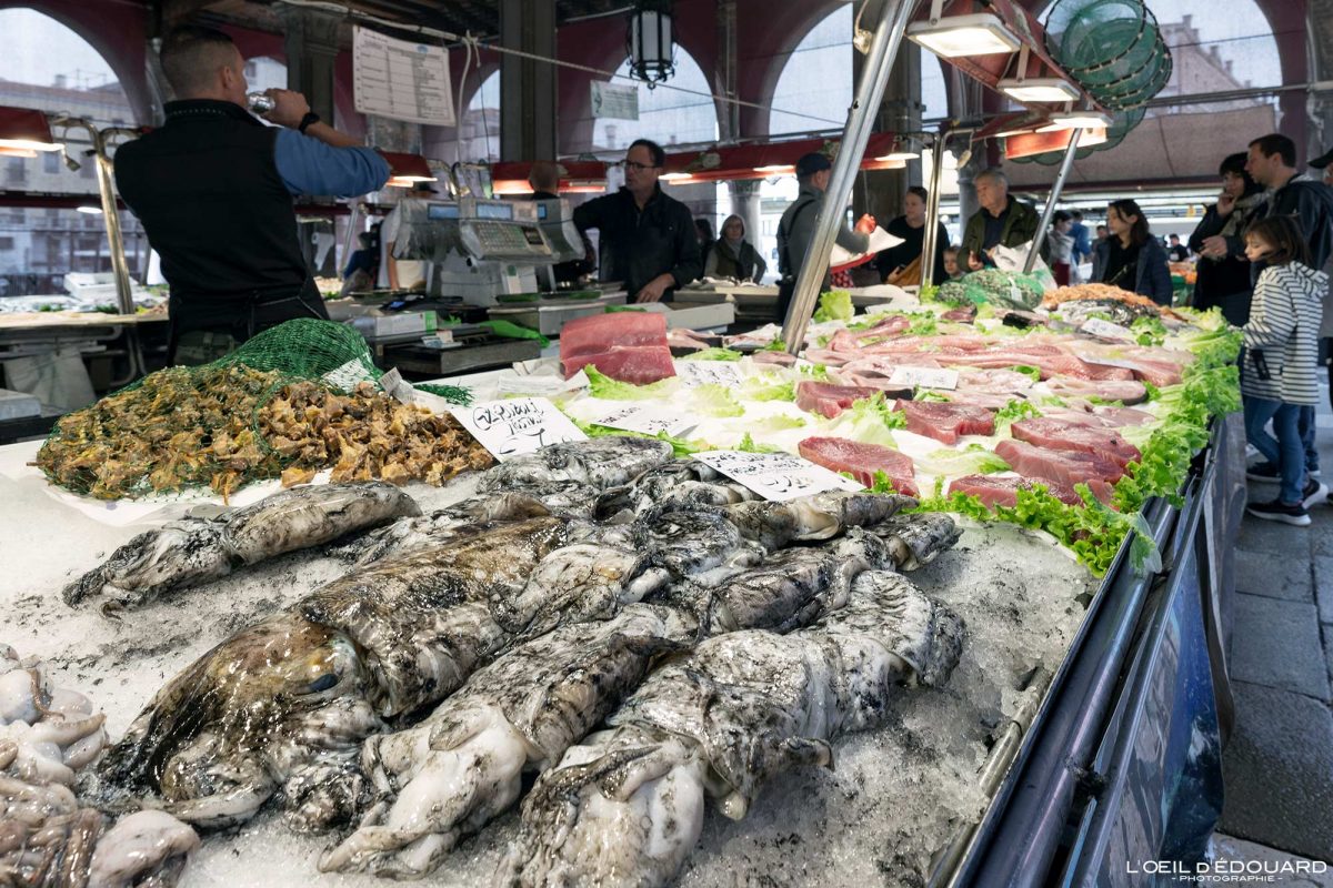 Marché aux poissons Venise Tourisme Italie Voyage - Pescaria Mercato delle Pesce di Rialto Venezia Italia Venice Visit Italy Travel Europe Italian SeaFood Market