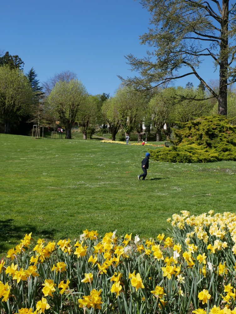Jardins du zoo de Mulhouse au printemps