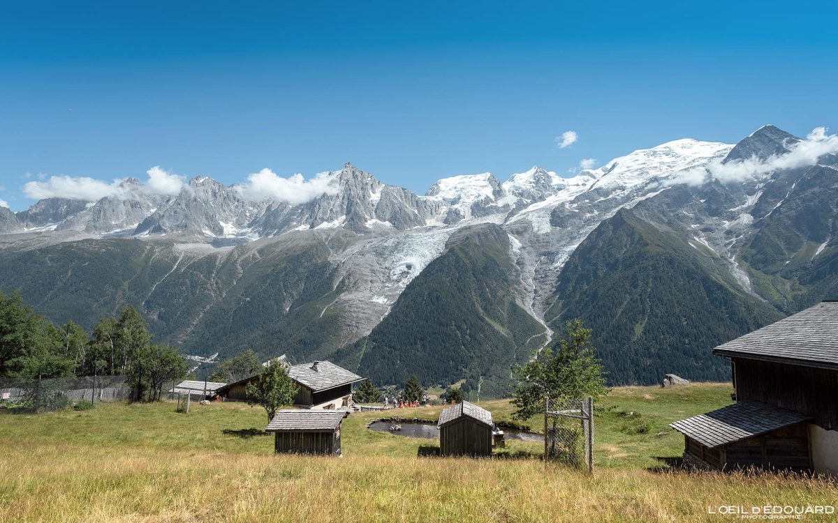Visite Parc animalier de Merlet Chamonix Massif du Mont-Blanc Haute-Savoie Alpes Visit France Tourisme Paysage Nature Outdoor French Alps Mountain Landscape