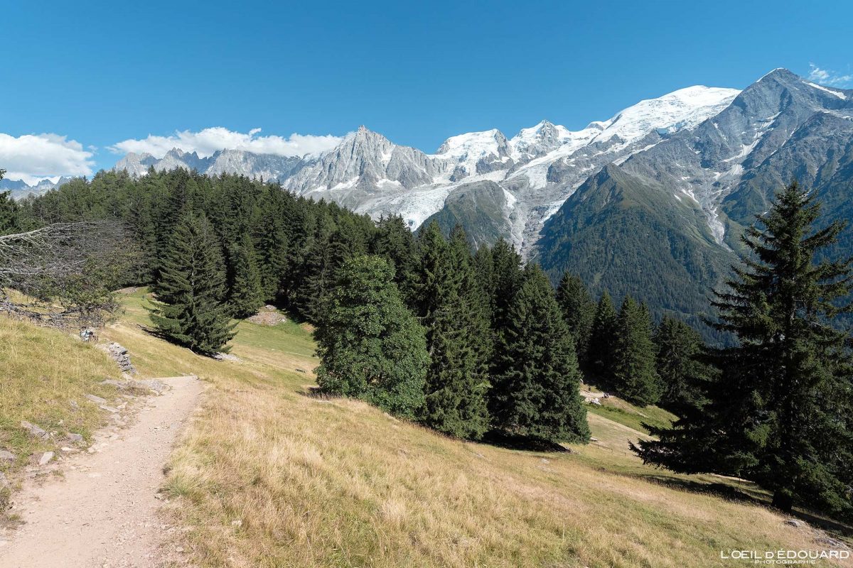 Visite Parc animalier de Merlet Chamonix Massif du Mont-Blanc Haute-Savoie Alpes Visit France Tourisme Paysage Nature Outdoor French Alps Mountain Landscape