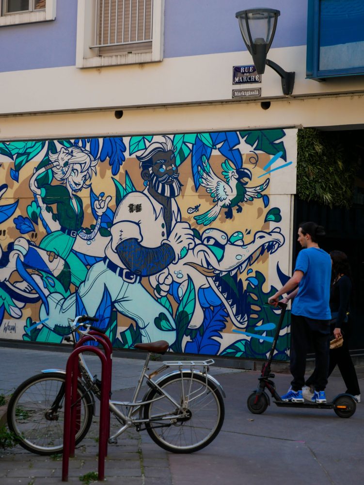 Oeuvre street art Mulhouse