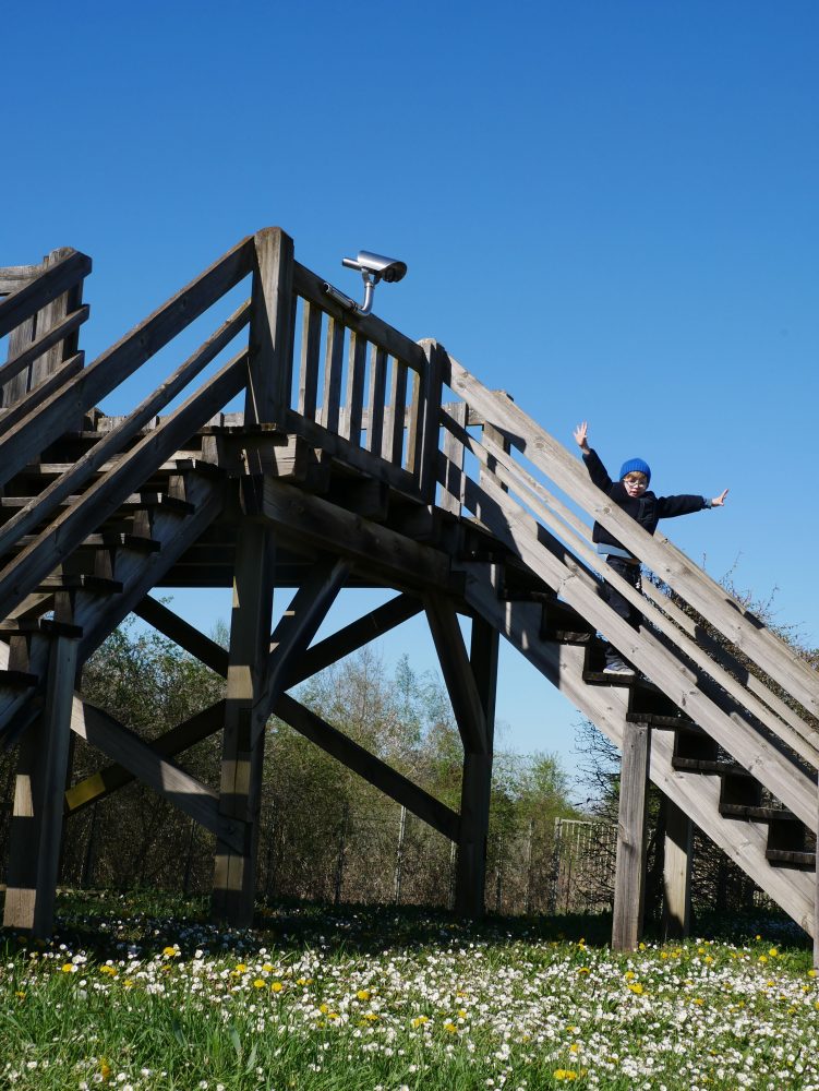 Parc du Petit Prince en famille