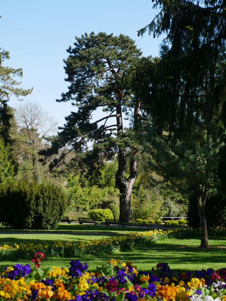 Parc zoologique et botanique de Mulhouse au printemps
