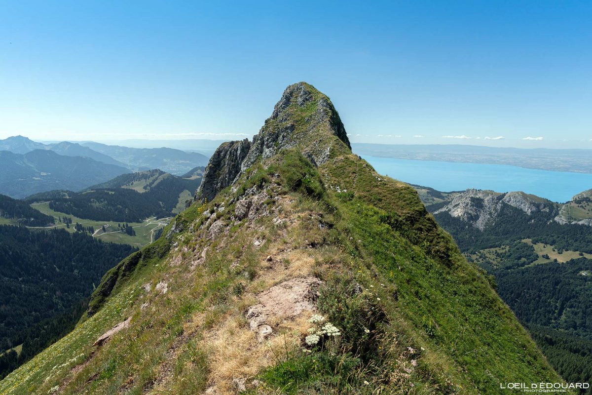 Col de Rébollion - Randonnée Dent d'Oche Massif du Chablais Haute-Savoie France Tourisme Paysage Montagne Outdoor Nature Hiking Mountain Landscape