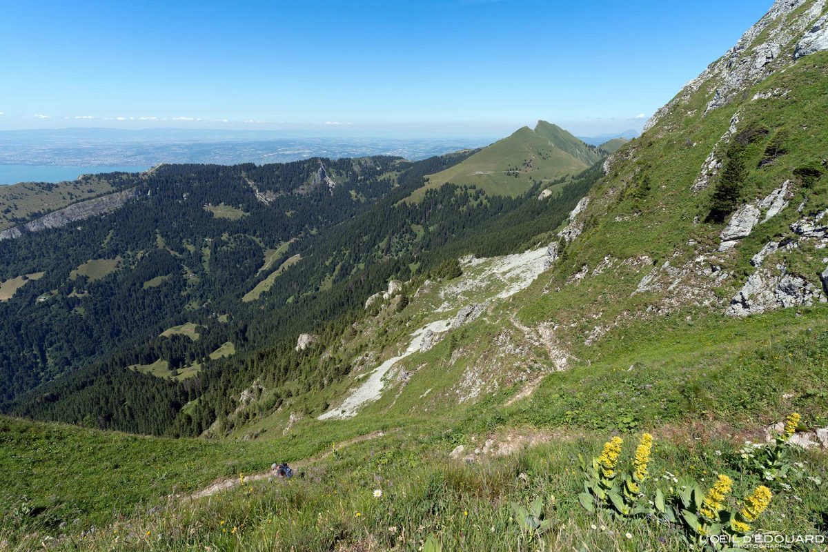 Col de Rébollion - Randonnée Dent d'Oche Massif du Chablais Haute-Savoie France Tourisme Paysage Montagne Outdoor Nature Hiking Mountain Landscape