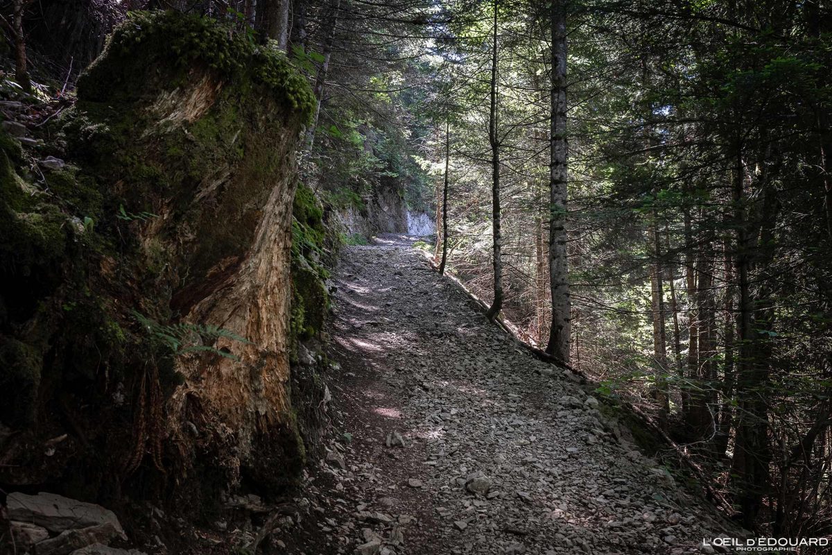 Randonnée Dent d'Oche Massif du Chablais Haute-Savoie France Tourisme Paysage Montagne Outdoor Nature Hiking Mountain Landscape