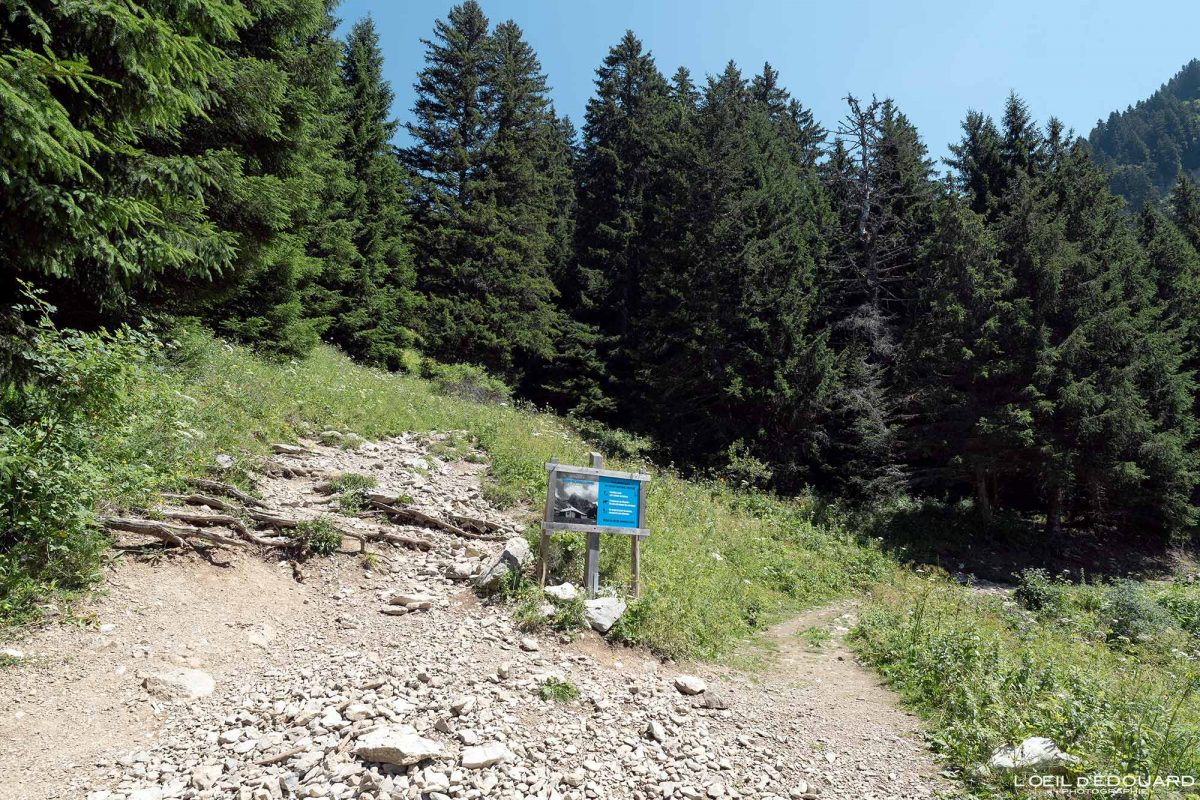 Randonnée Dent d'Oche Massif du Chablais Haute-Savoie France Tourisme Paysage Montagne Outdoor Nature Hiking Mountain Landscape